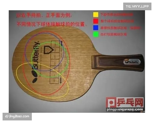 智能乒乓球拍助力赛事运动员精准掌握球速与旋转数据分析报告 智能乒乓球拍助力赛事运动员精准掌握球速与旋转数据分析报告